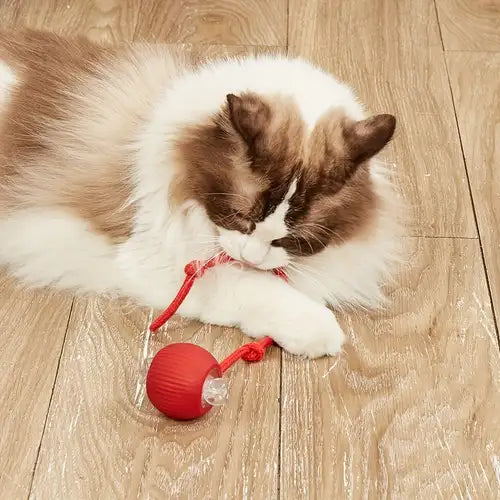 Boule roulante interactive avec queue