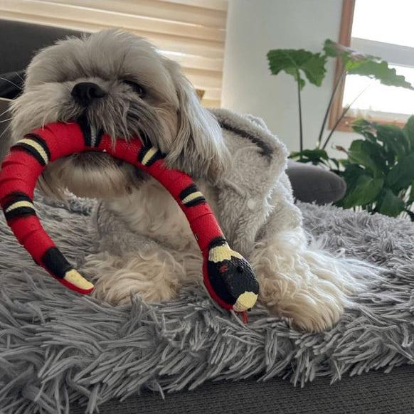 Jouet interactif pour chat en forme de serpent à détection intelligente