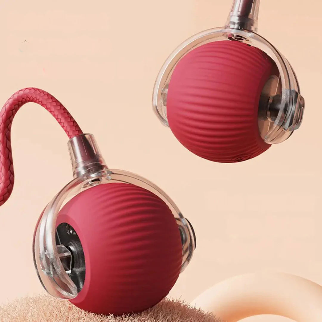 Boule roulante interactive avec queue